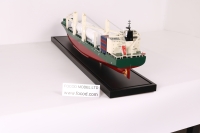 customized model of 193米杂货船